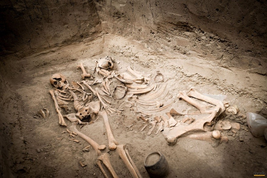 Burial in the future D4R7 in Slovakia
