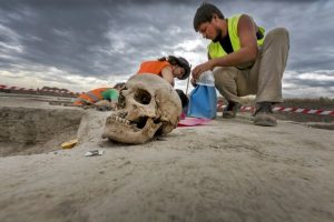calavera en la excavación de la carretera D4R7 en Eslovaquia