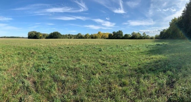 Ferrovial aids to the recovery of Danube habitats while improving traffic in Bratislava